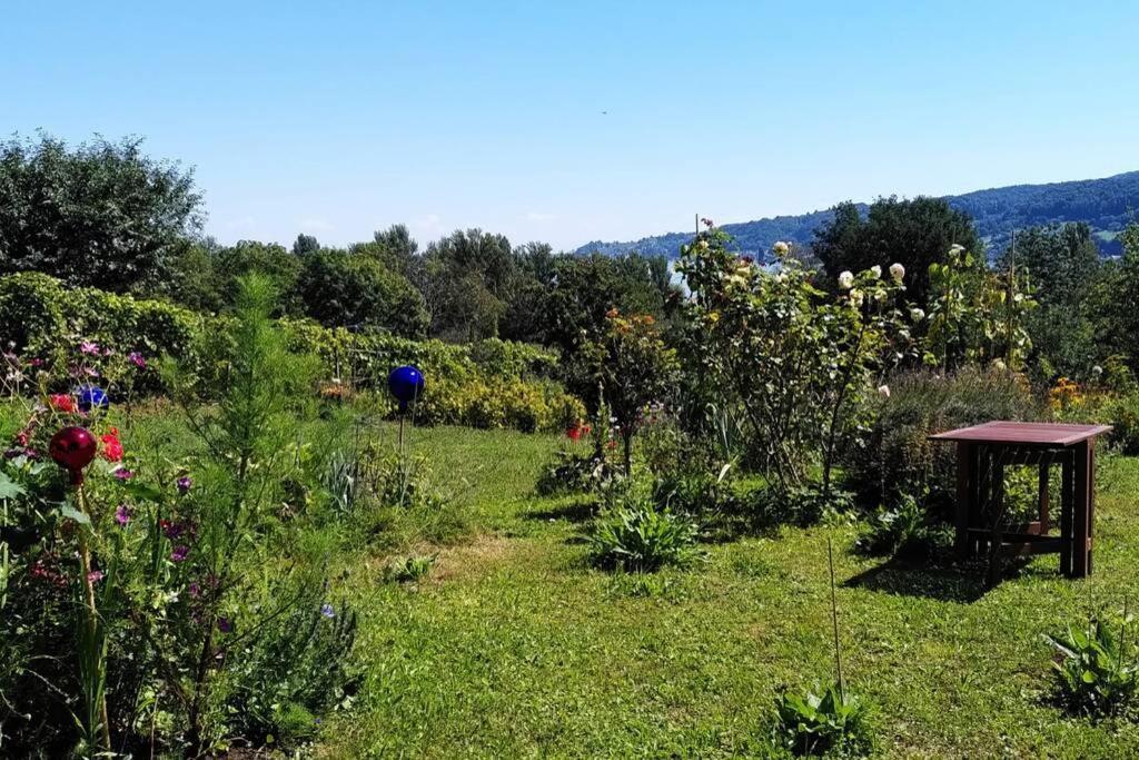 Seenah - Ihre Wohnung Am Bodensee / Untersee Gaienhofen  Ngoại thất bức ảnh